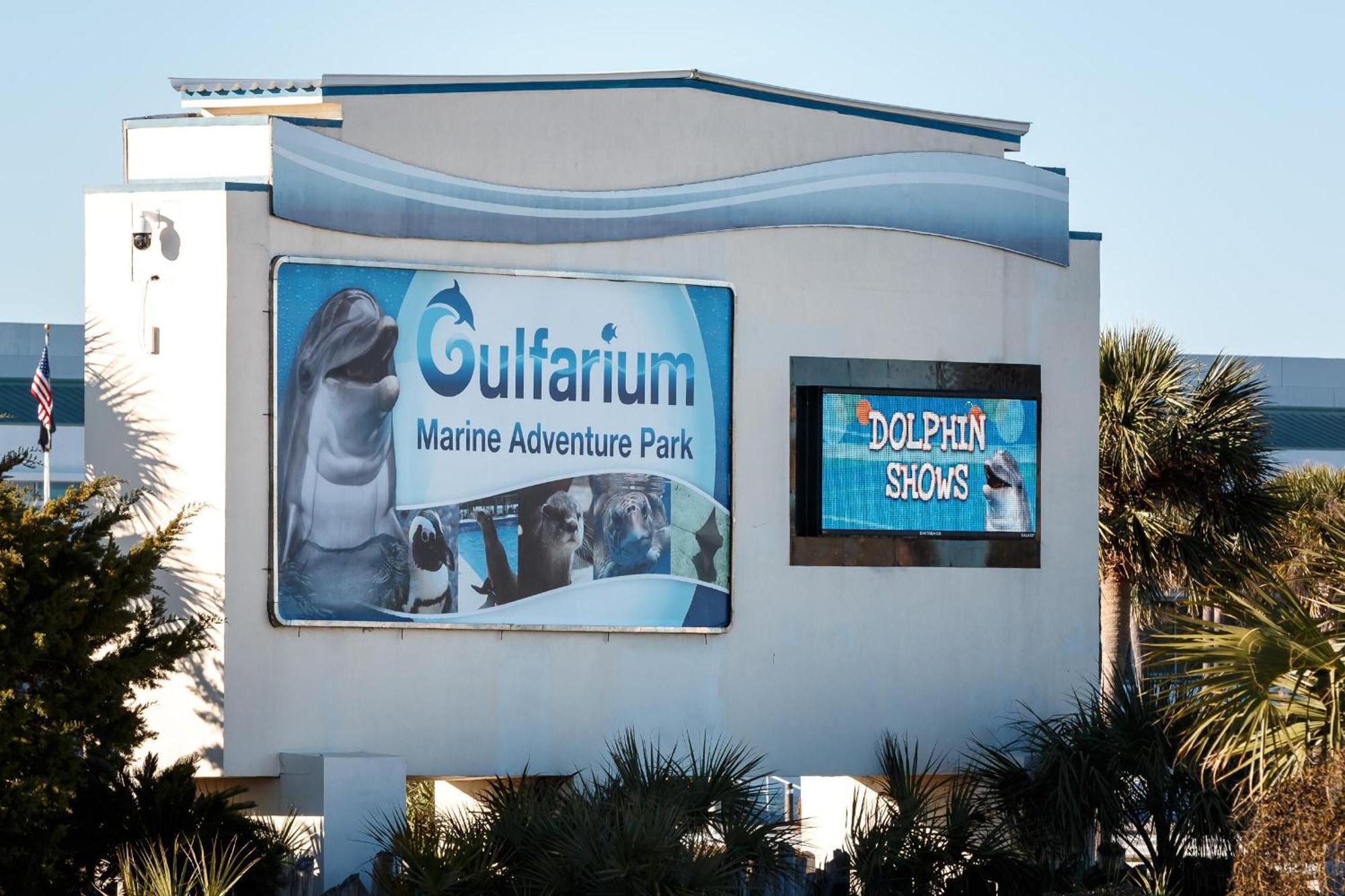Nautilus 1201 - Gulf Front 2 Bedroom Huge Wrap Around Balcony 2Nd Floor! Fort Walton Beach Exterior foto
